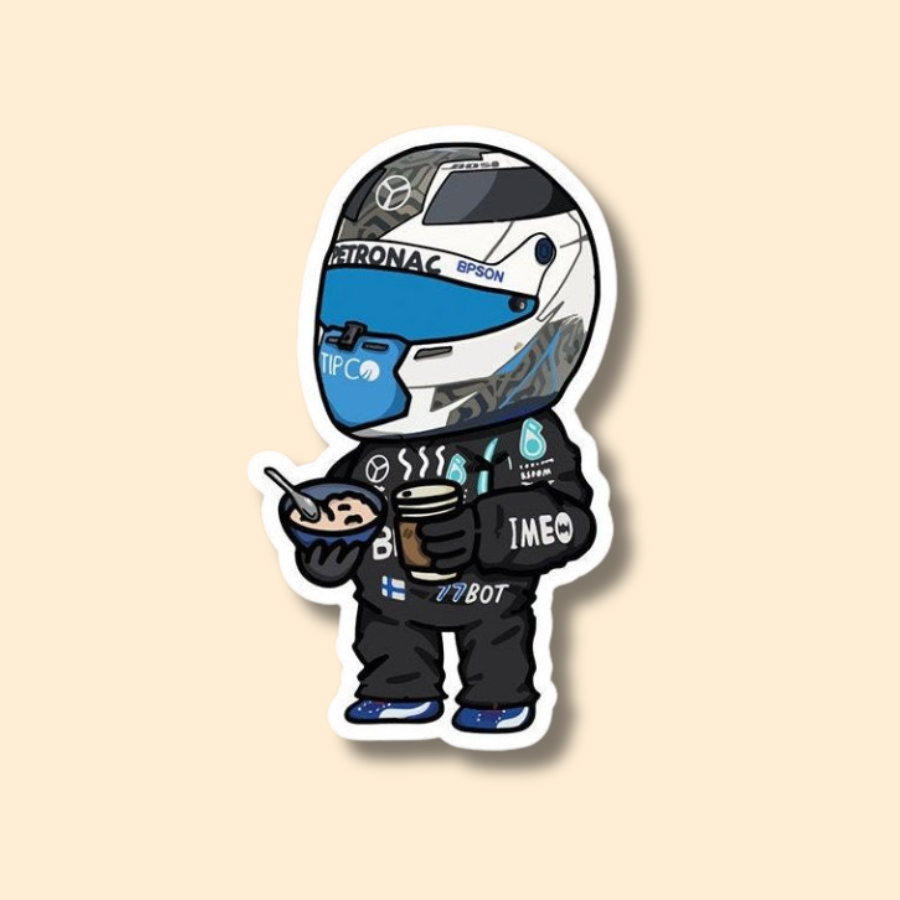 "Bike rider" Vinyl Stickers for Laptop, Journal Mobile Phone, bottle, guitar, books - Waterproof.